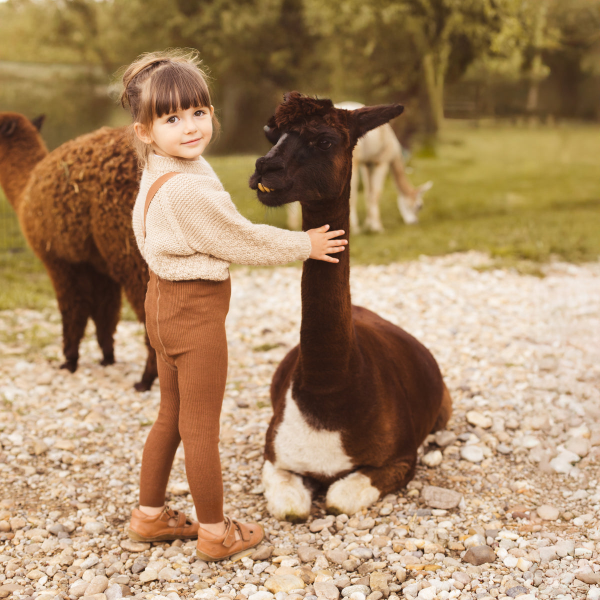 Leggings con bretelle - Nocciola (con lana di baby alpaca)