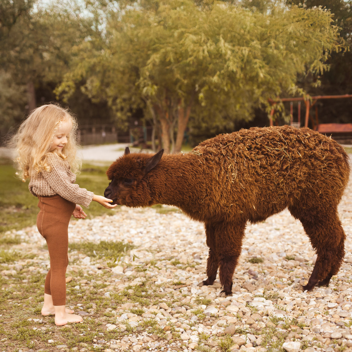 Leggings con bretelle - Nocciola (con lana di baby alpaca)