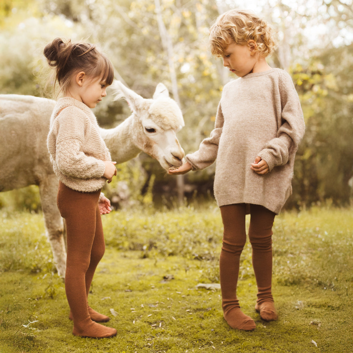 Collant con bretelle - Nocciola (con lana di baby alpaca)